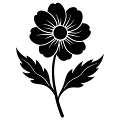 black and yellow flower