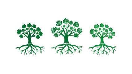 Obraz premium vector set of trees and roots, 