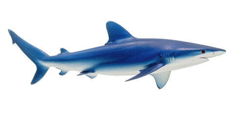 Obraz premium Majestic Blue Shark Ocean Predator, Marine Wildlife Photography