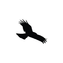 flying eagle silhouette