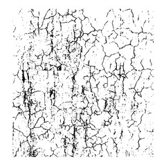 Cracked Texture Background. Abstract Black and White Pattern. Abstract Grunge Crack Pattern. Dry Earth Texture Effect. Cracked Surface Background .