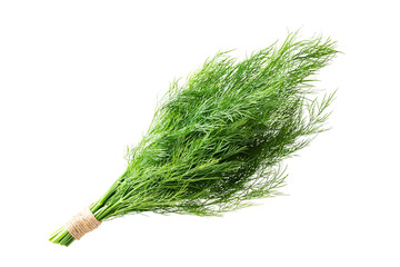 Fresh Dill Bunch Isolated on White Background