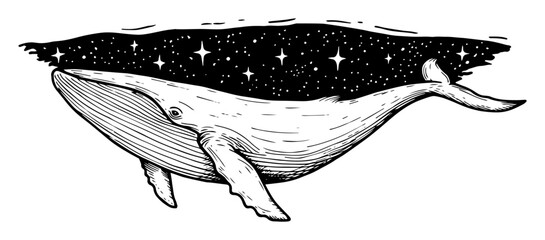 whale swimming in starry sky surreal illustration © Kaz
