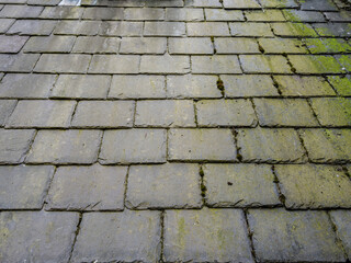 Weathered slate roof tiles with green moss growing between them.