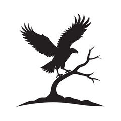 Fototapeta premium Eagle Landing Gracefully On Branch Silhouette