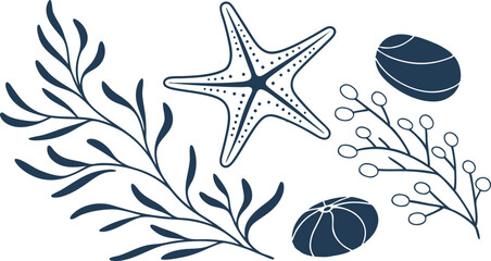 Coastal sea life starfish seaweed ocean decor