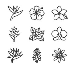 Fototapeta premium Tropical Plant Icons. Outline icon set of tropical flowering plants: bird of paradise, hibiscus, plumeria, heliconia,