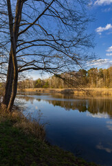 Ponds in Piaseczno on a calm spring day, central Poland
