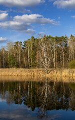 Piaseczno Ponds in early spring, Masovia, central Poland