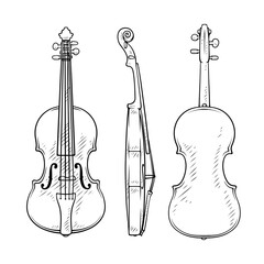 Fototapeta premium violin vector line art handdraw illustration set collection