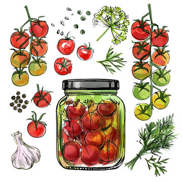 Glass jars with fermented vegetables. Tomatoes and spices. Ink and watercolor drawing on white background.