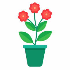 Blooming kalanchoe plant in stylish pot illustration