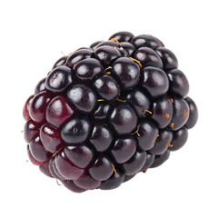 A blackberry single isolated on a transparent background