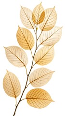 Obraz premium A delicate, artistic rendering of a tree branch with translucent, golden-hued leaves, highlighting intricate veins and a natural, elegant aesthetic.