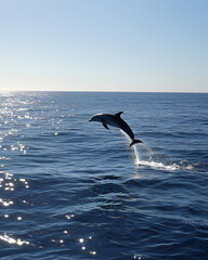 Naklejka premium A dolphin leaping joyfully out of the ocean, the sunlight catching its sleek body as it arcs through the air. The clear blue water and warm sky create a carefree and joyful atmosphere.