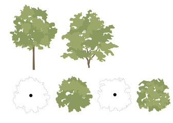 Trees in elevation and plan view for use in architectural drawings	