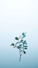 Serene Teal Eucalyptus Branch Minimalist Botanical Photography