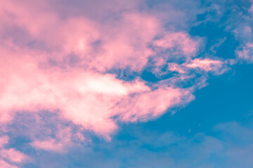 Pink and blue pastel colored sky with fluffy cloudscape and a single bird flying high above creating a dreamy, tranquil, and surreal atmosphere