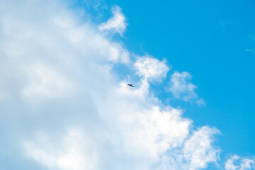 bird swift or swallow are flying high in a mostly clear, blue sky with only a few small, scattered clouds present, creating a serene and peaceful atmosphere
