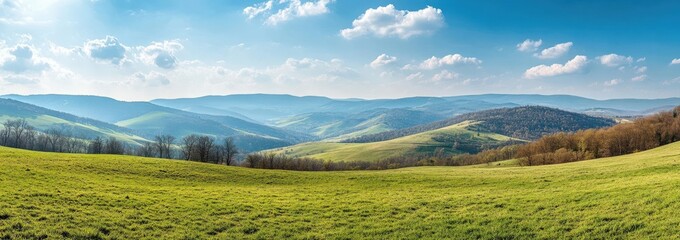 Vast Mountain Range and Lush Meadow