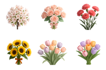 A vibrant collection of flower bouquets, featuring tulips, roses, sunflowers, and more. Perfect for conveying love, celebration, and nature's beauty. Ideal for various designs.