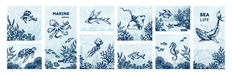 Sea animals. Octopus sketch drawing, whale logo, vintage shell or engraved fish, ocean seahorse. Summer biology, underwater crab and turtle. Card or poster. Vector isolated illustration © SpicyTruffel