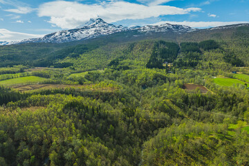 Mountain view near the city of Narvik in Norway. Spring, sun, greenery and snow-capped peaks.