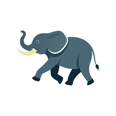 Elephant on white background