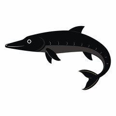 Vector art illustration of a species of stringy fish