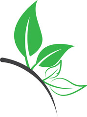 Green leaf logo design template