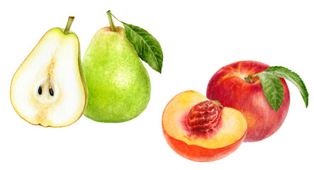 Watercolor Realistic Green Pear, and Nectarine Illustration