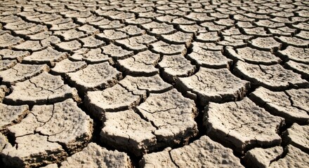 Cracked earth texture: dry, arid, drought-affected landscape