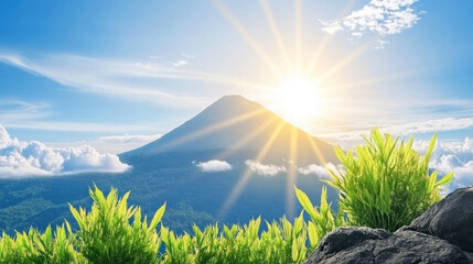 Majestic mountain ridge bathed in golden sunlight rises above sea of clouds, with vibrant green grass and plants in foreground under bright blue sky