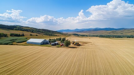 Aerial View of a Harvest in Montana's Expansive Farmlands