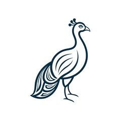 Peacock bird line art on white background