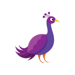 Peacock bird on white background