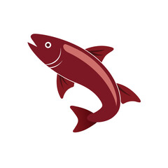 Salmon fish on white background