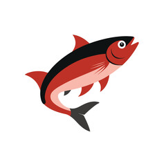 Salmon fish on white background
