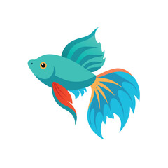 Beta fish On white background