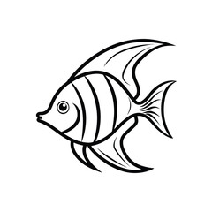 Angle fish on white background