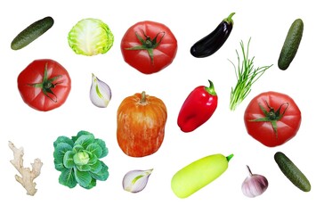 Set of fresh juicy appetizing vegetables on a white background