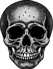 skull on black background