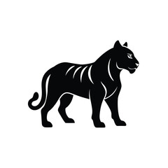 vector illustration of a Tiger
