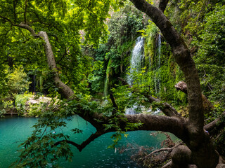 Large tree branches framing waterfall and turquoise pond in Kursunlu Waterfall Nature Park, Antalya, Turkiye