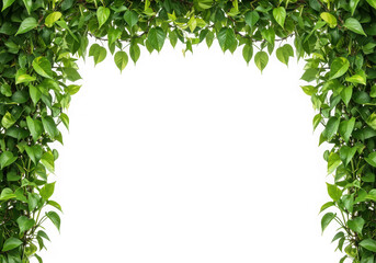 Green leaf arch frame isolated on transparent background