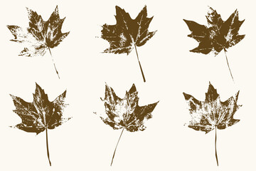 Natural leaves imprint, grunge style, vector, isolated, decorative elements for design