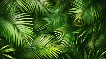 Luxury gold and nature green background vector. Floral pattern, palm and Coconut leaf plant line arts design for wall arts decoration, prints and fabric. Vector illustration. illustration , no logos,