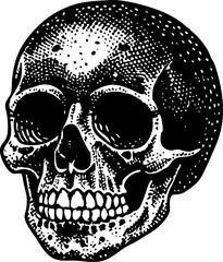 skull