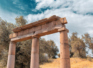 Fototapete bei efototapeten.de bestellen   