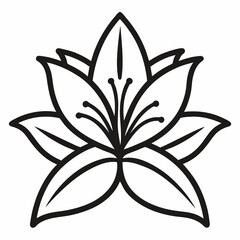 black and white flower